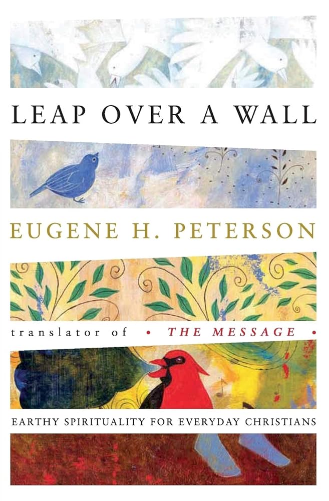 Leap Over a Wall : Earthy Spirituality for Everyday Christians cover image