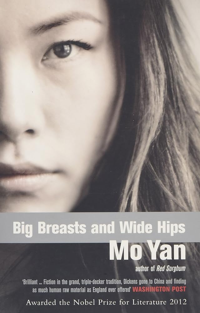 Big Breasts, Wide Hips cover image