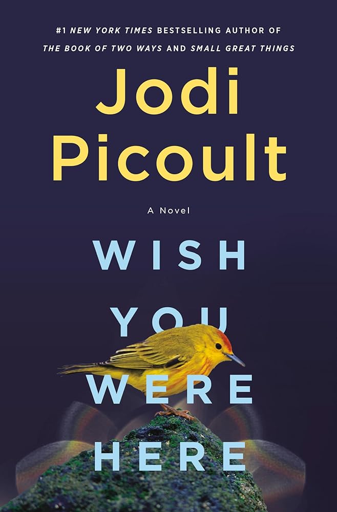 Wish You Were Here: A Novel cover image
