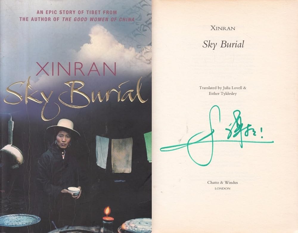 Sky Burial cover image
