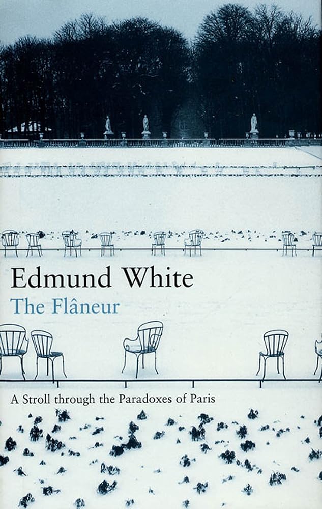 The Flaneur: A Stroll Through the Paradoxes of Paris cover image