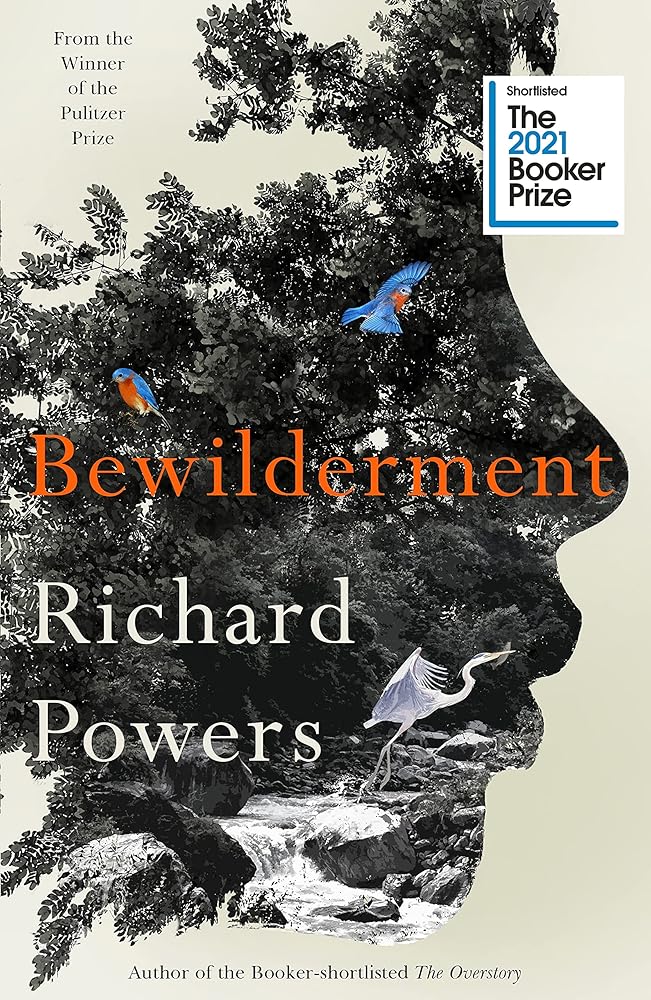 Bewilderment cover image