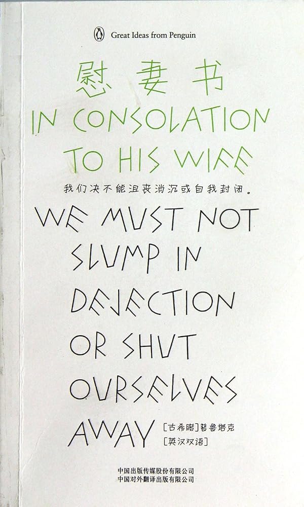 In Consolation to His Wife cover image