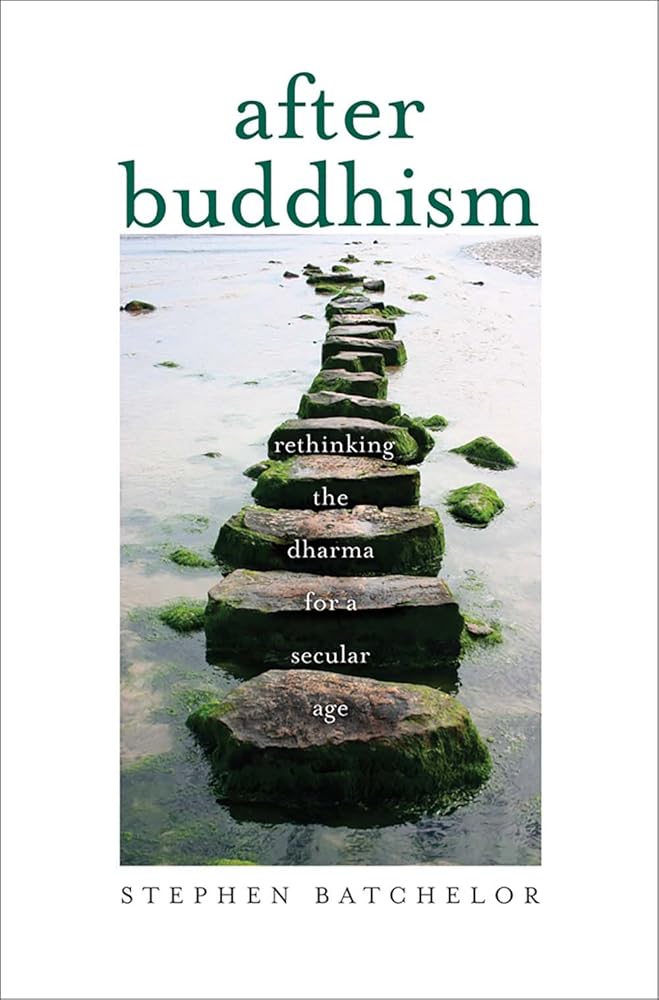 After Buddhism: Rethinking the Dharma for a Secular Age cover image