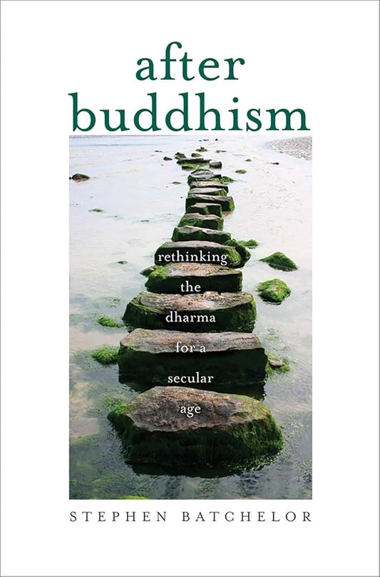After Buddhism: Rethinking the Dharma for a Secular Age cover image
