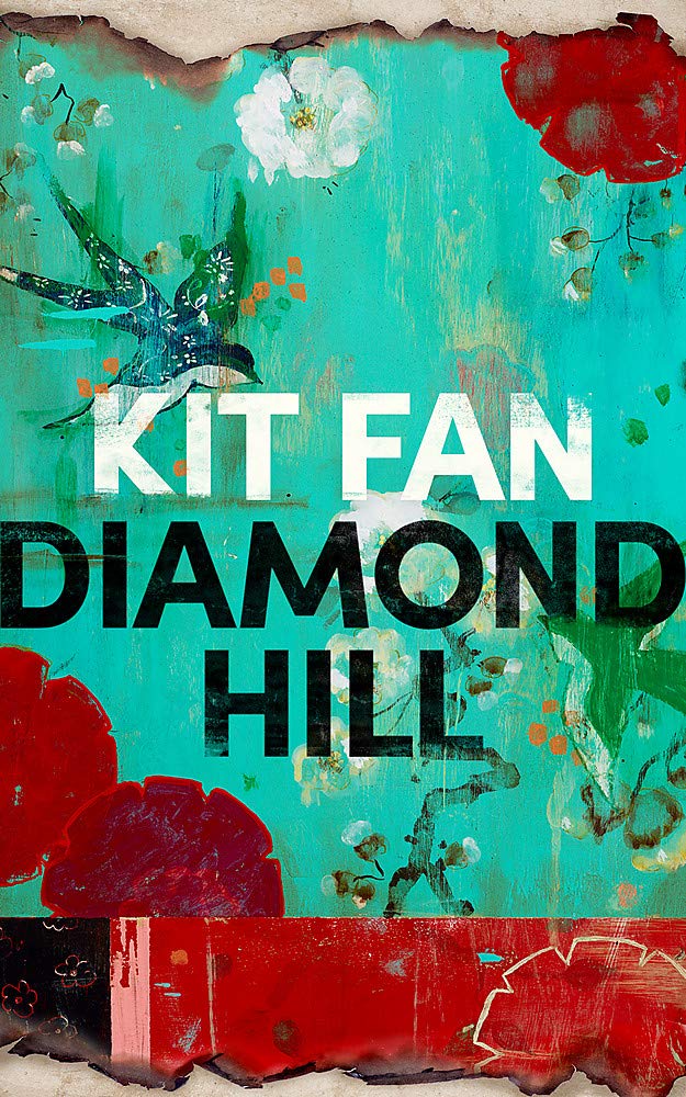 Diamond Hill: Totally unputdownable and evocative literary fiction cover image