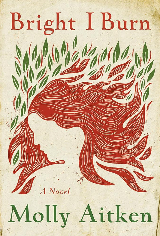 Bright I Burn: A Novel cover image