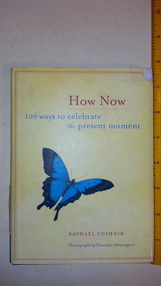 How Now: 100 Ways to Celebrate the Present Moment cover image