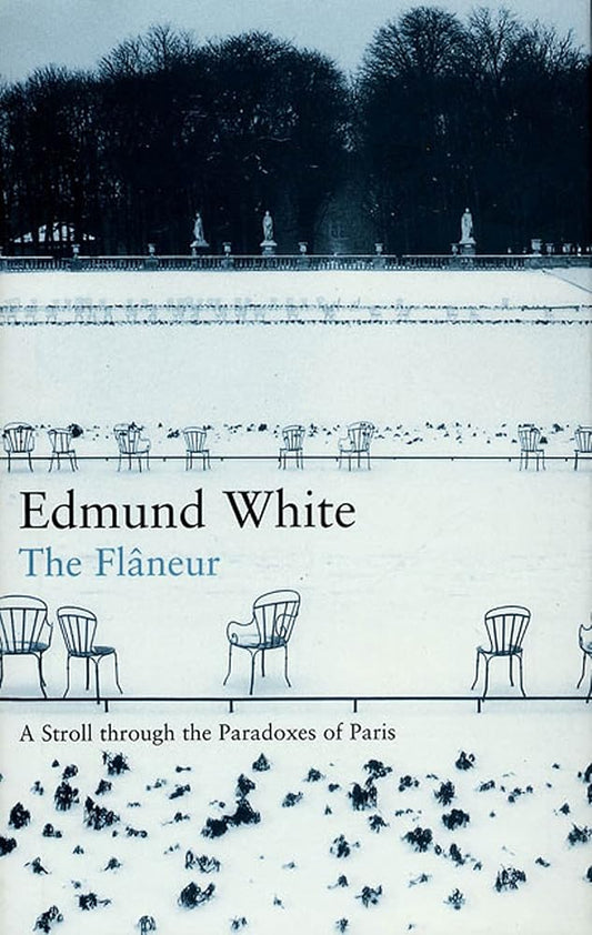 The Flaneur: A Stroll Through the Paradoxes of Paris cover image
