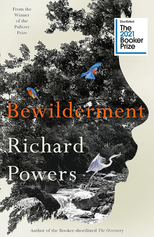 Bewilderment cover image