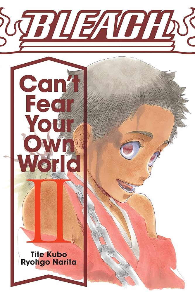 Bleach: Can't Fear Your Own World, Vol. 2 cover image