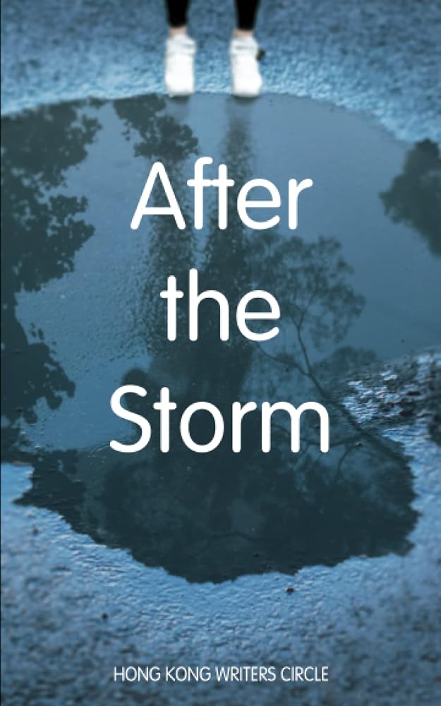 After the Storm cover image