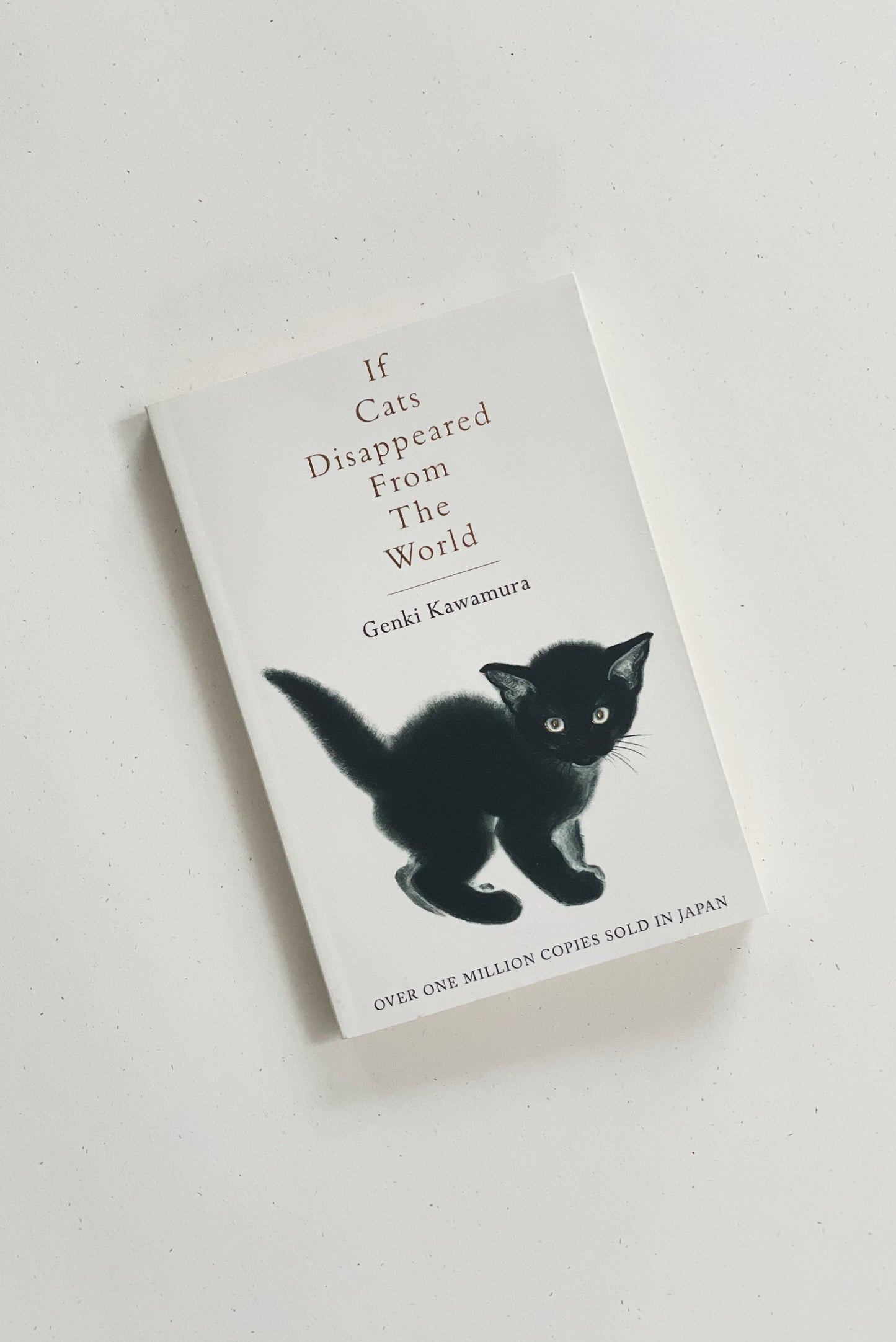 If Cats Disappeared from the World, Genki Kawamura