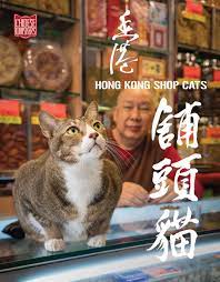 Hong Kong Shop Cats